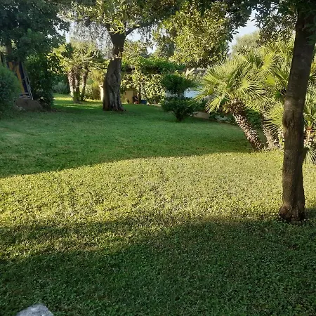 Holiday home Casa Vacanze Il Pino,