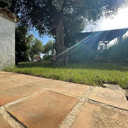 Casa Vacanze Il Pino, Holiday home